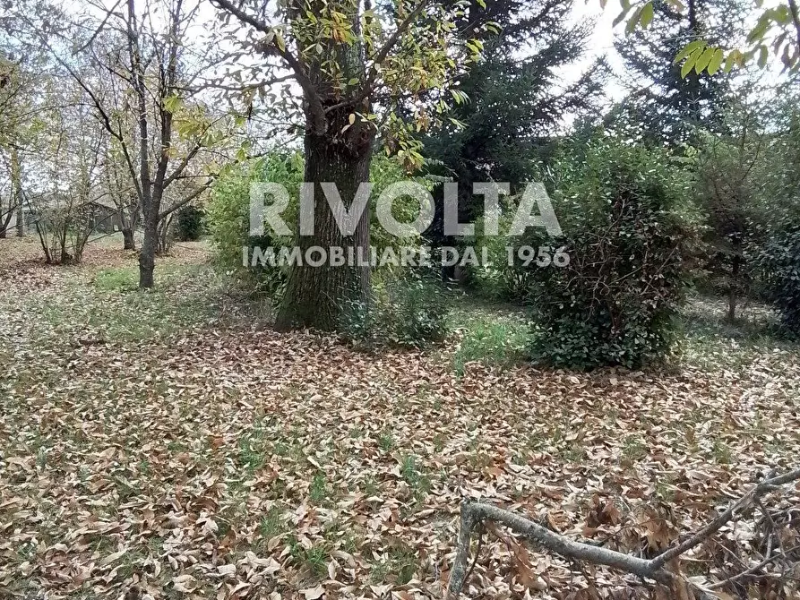 Immagine 2 di Villa in vendita  in via madonna delle grazie a Canepina