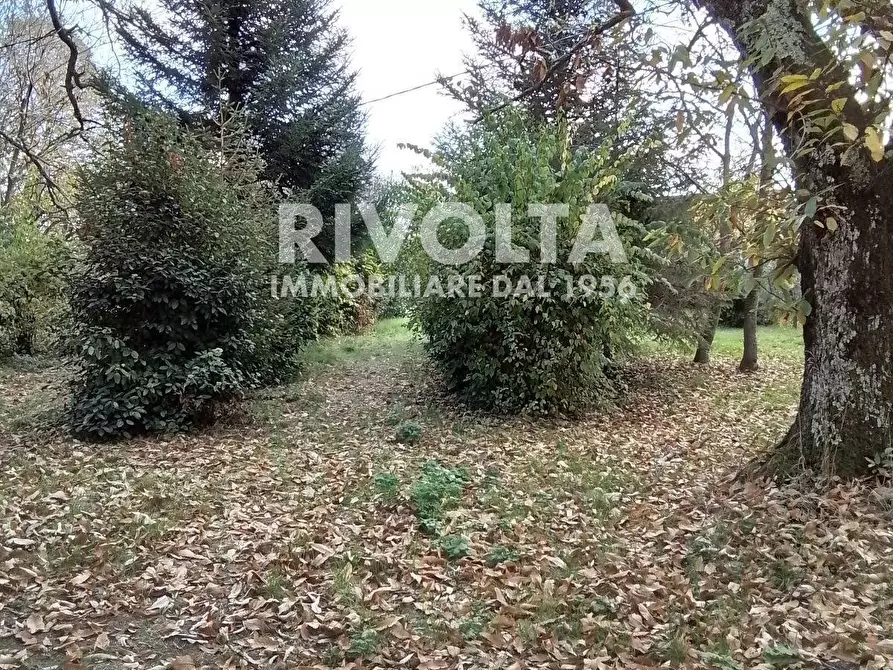 Immagine 4 di Villa in vendita  in via madonna delle grazie a Canepina