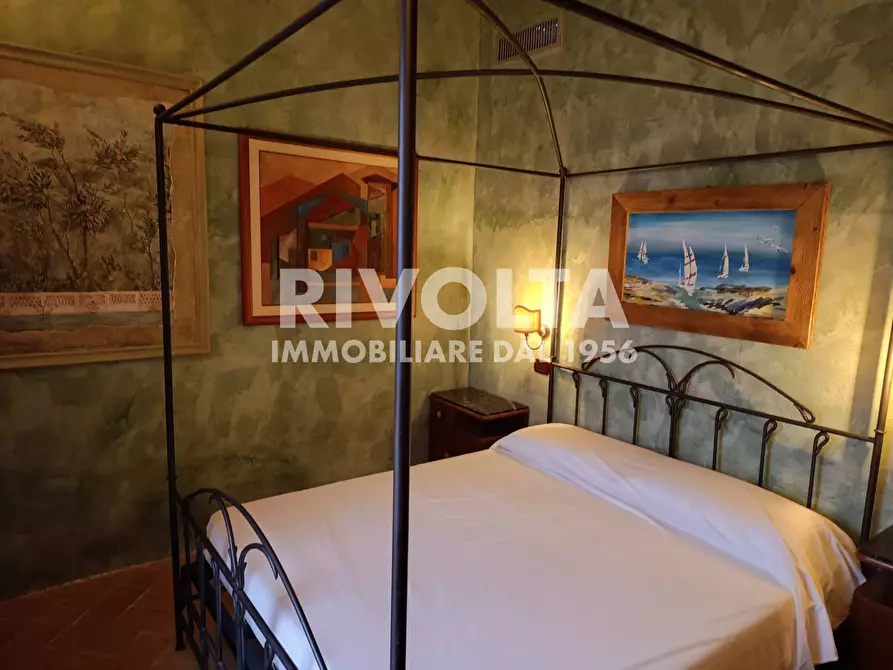 Immagine 1 di Villa in affitto  a Capalbio