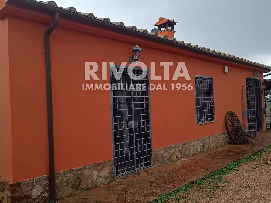 Immagine 16 di Villa in affitto  a Capalbio