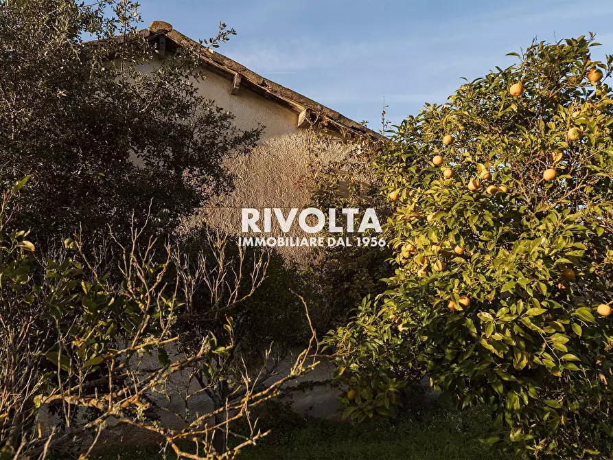 Immagine 2 di Rustico / casale in vendita  in strada vicinale sant'anna pollina a Alghero