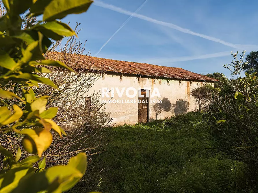 Immagine 4 di Rustico / casale in vendita  in strada vicinale sant'anna pollina a Alghero