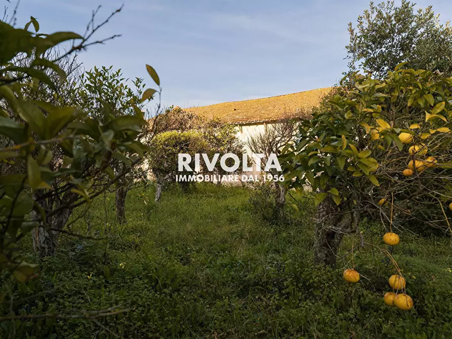 Immagine 11 di Rustico / casale in vendita  in strada vicinale sant'anna pollina a Alghero