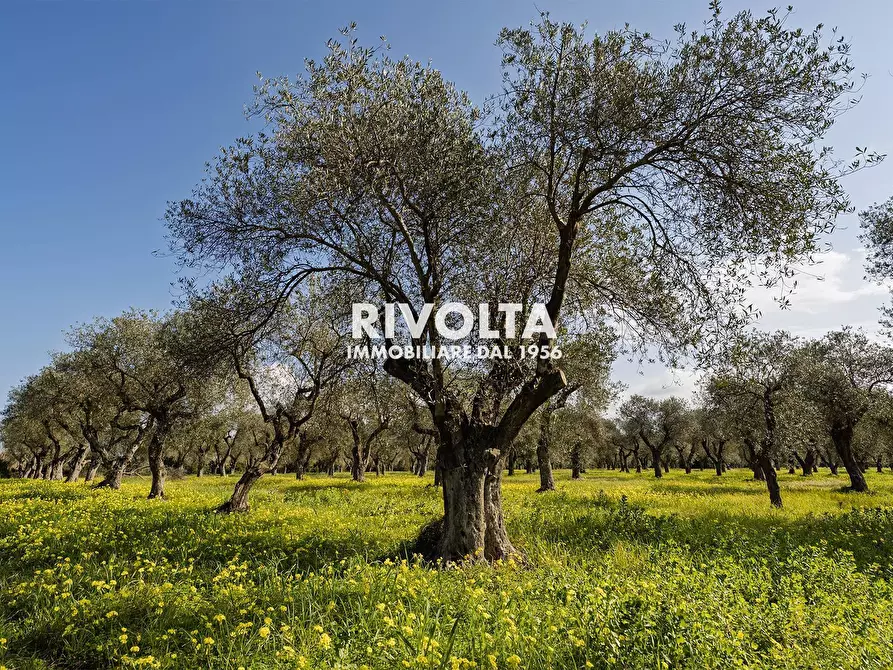 Immagine 6 di Terreno agricolo in vendita  in strada statale 291 a Alghero