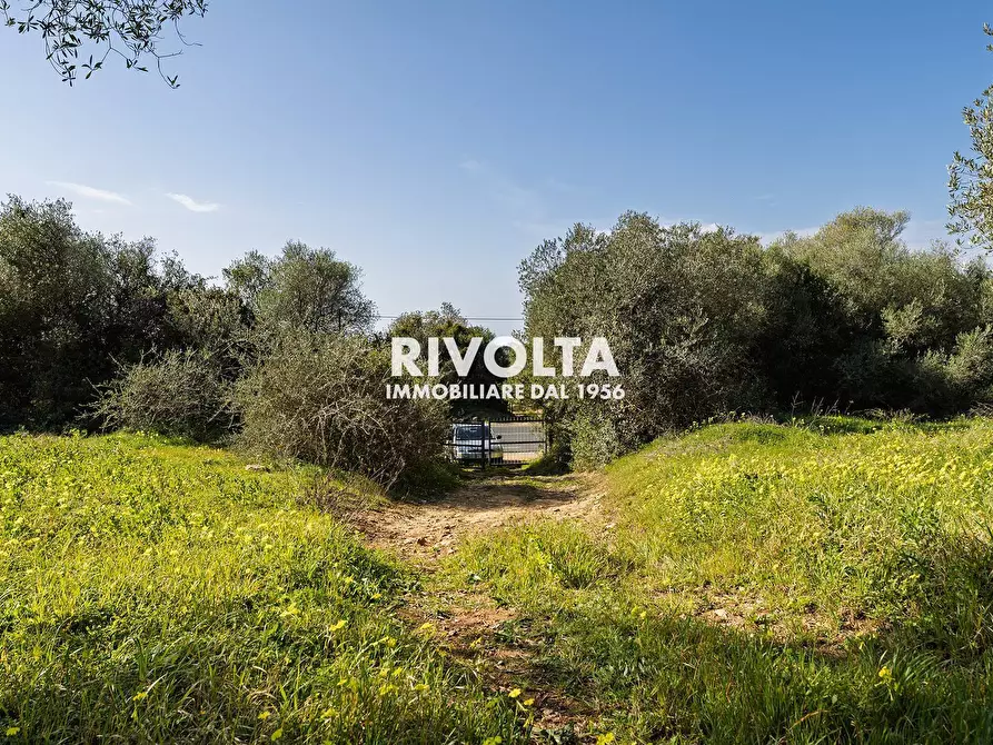 Immagine 13 di Terreno agricolo in vendita  in strada statale 291 a Alghero