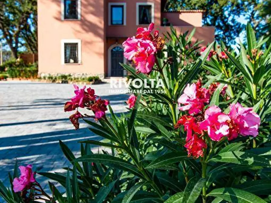 Immagine 3 di Villa in affitto  in Via Della Merluzza a Roma