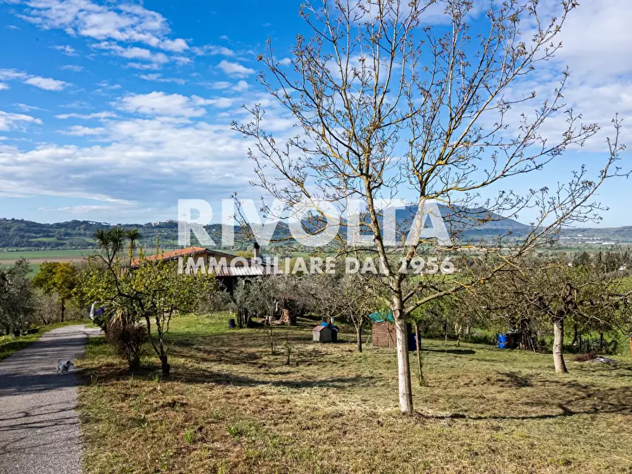 Immagine 35 di Villa in vendita  in via roma a Forano