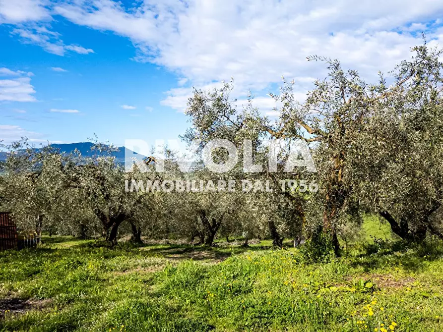 Immagine 40 di Villa in vendita  in via roma a Forano