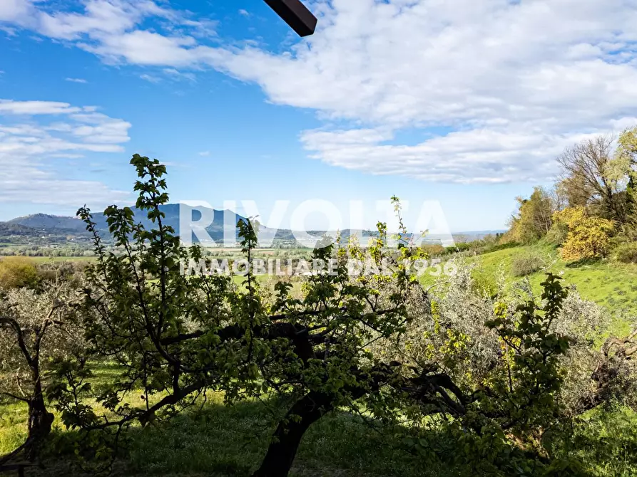 Immagine 48 di Villa in vendita  in via roma a Forano