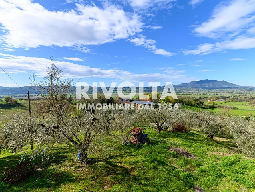 Immagine 1 di Villa in vendita  in via roma a Forano