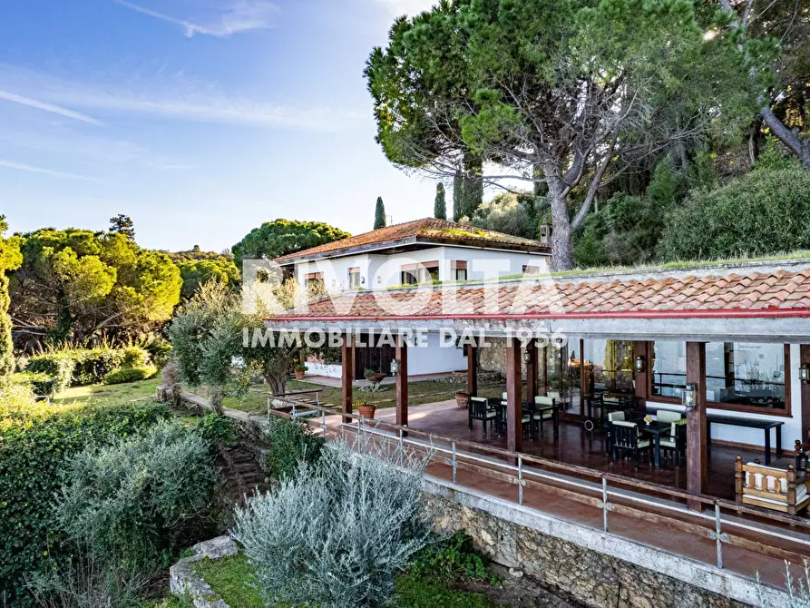 Immagine 40 di Villa in vendita  in Via Discesa Del Valle a Monte Argentario