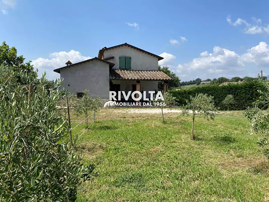 Immagine 1 di Villa in vendita  in via don giovanni minzoni a Avigliano Umbro