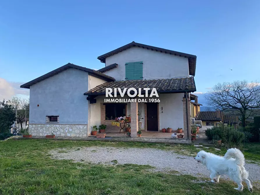 Immagine 2 di Villa in vendita  in via don giovanni minzoni a Avigliano Umbro
