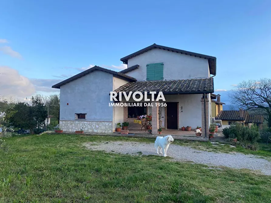 Immagine 12 di Villa in vendita  in via don giovanni minzoni a Avigliano Umbro