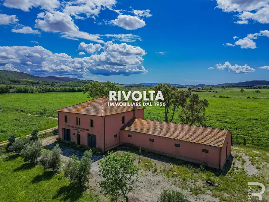 Immagine 2 di Rustico / casale in vendita  in con terreno in maremma a Magliano In Toscana