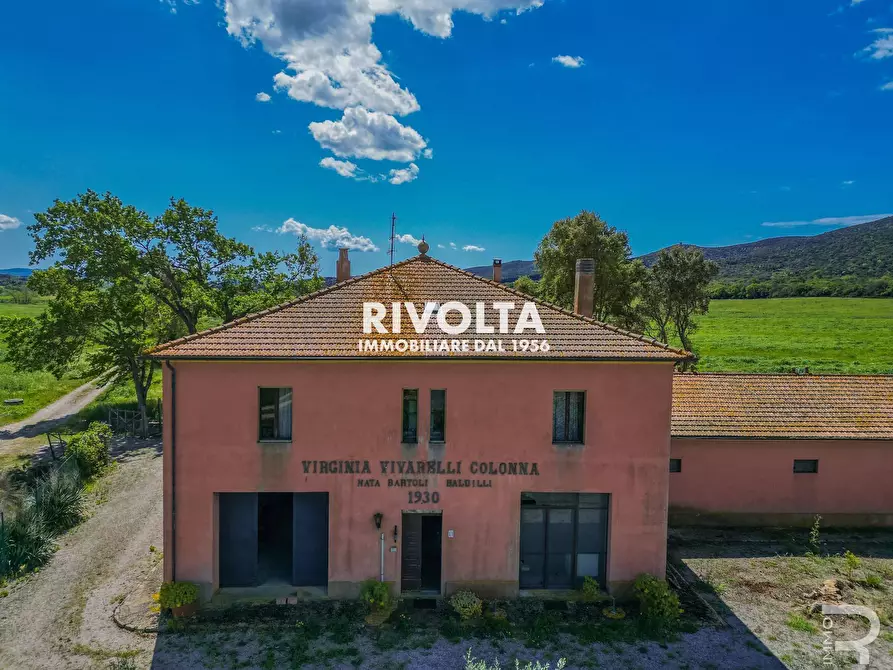 Immagine 3 di Rustico / casale in vendita  in con terreno in maremma a Magliano In Toscana