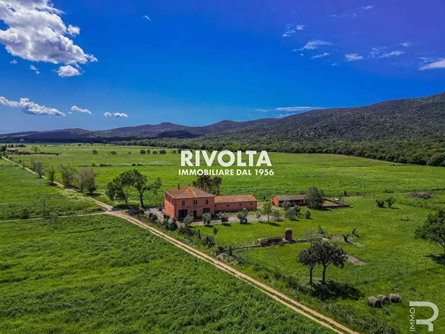 Immagine 5 di Rustico / casale in vendita  in con terreno in maremma a Magliano In Toscana