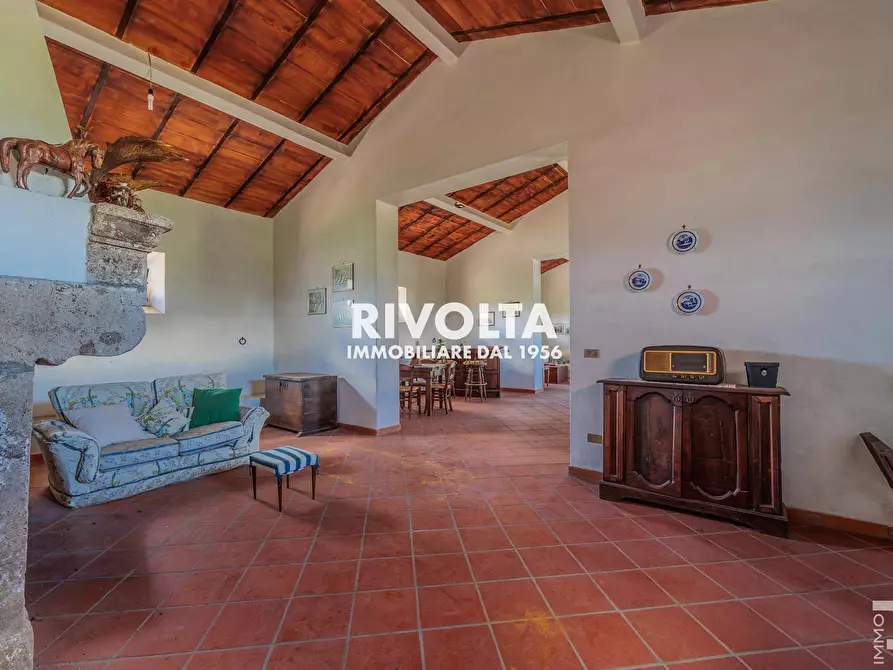 Immagine 11 di Rustico / casale in vendita  in con terreno in maremma a Magliano In Toscana