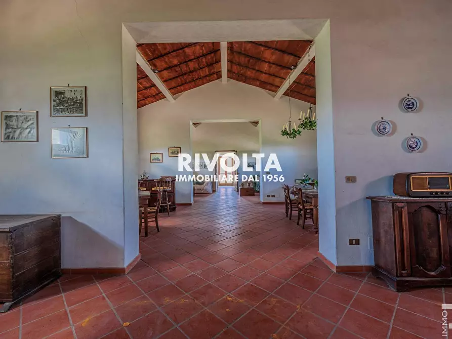 Immagine 12 di Rustico / casale in vendita  in con terreno in maremma a Magliano In Toscana