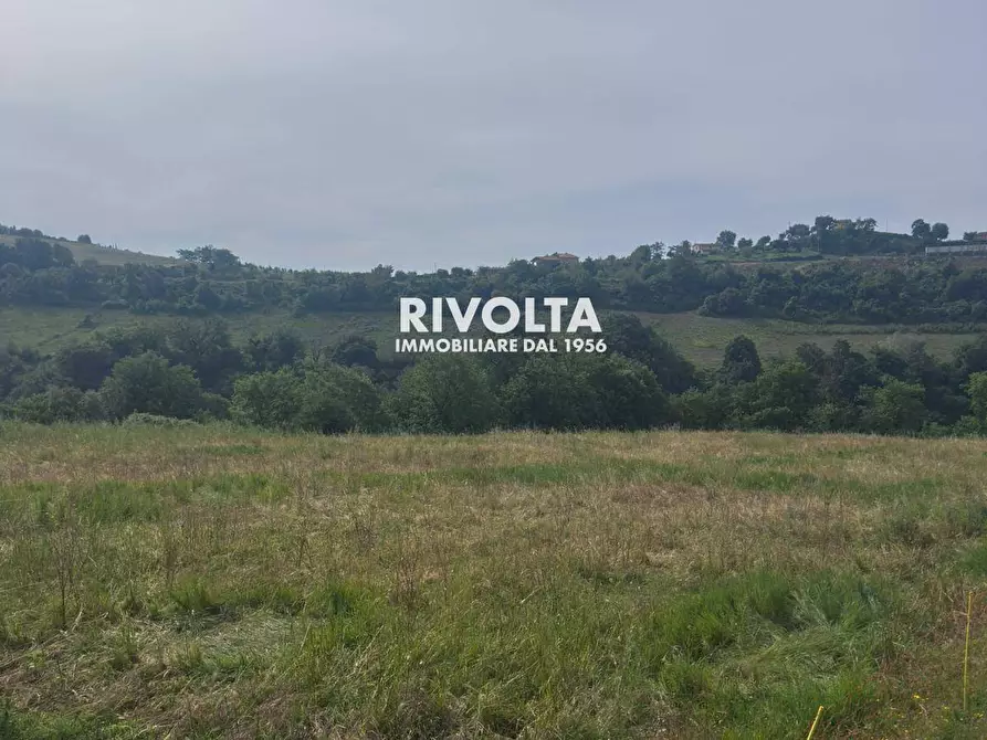 Immagine 2 di Terreno agricolo in vendita  in via collefiore a Collevecchio