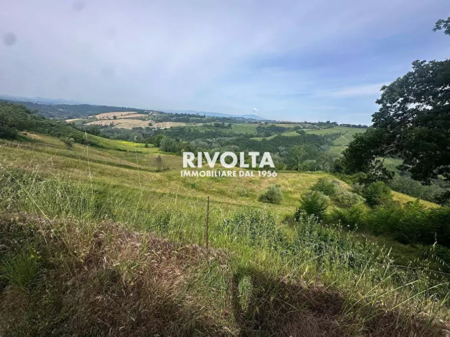 Immagine 3 di Terreno agricolo in vendita  in via collefiore a Collevecchio