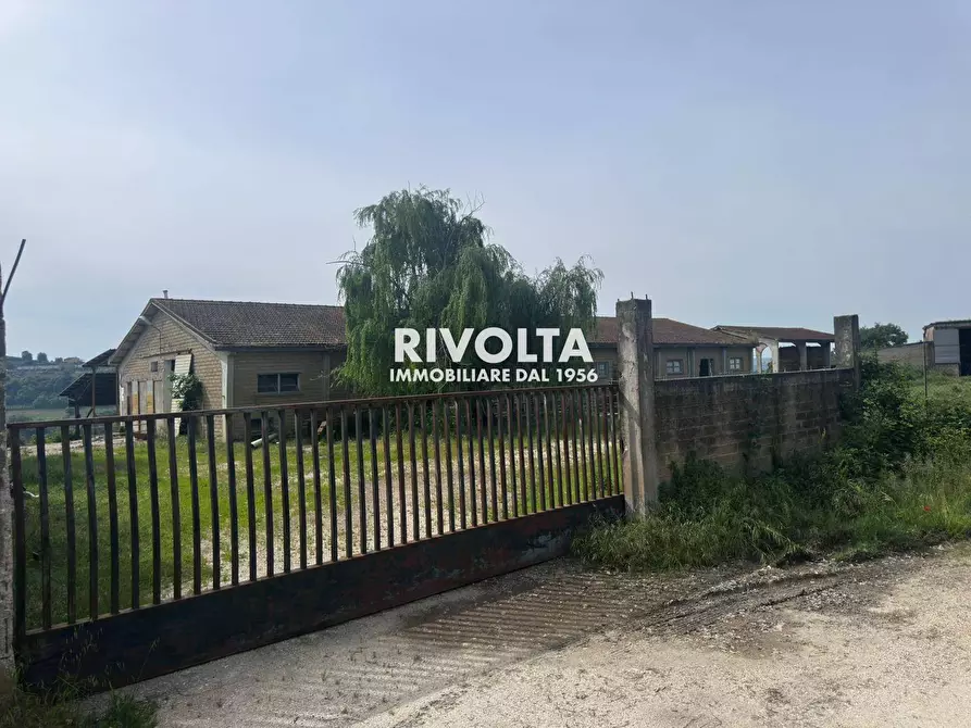 Immagine 4 di Terreno agricolo in vendita  in via collefiore a Collevecchio