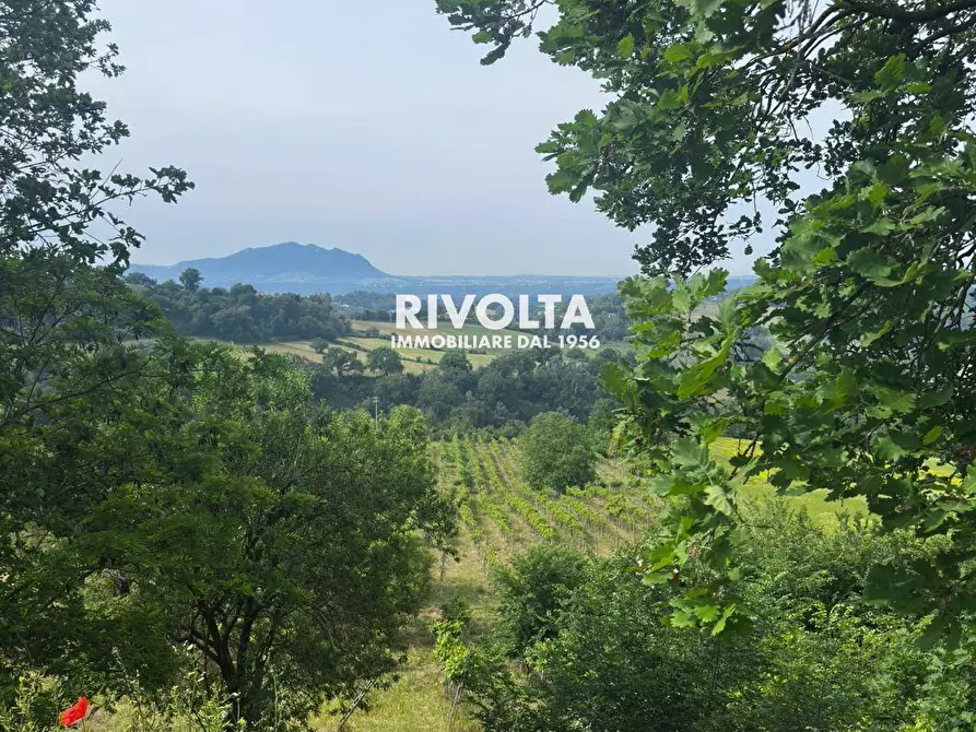 Immagine 5 di Terreno agricolo in vendita  in via collefiore a Collevecchio