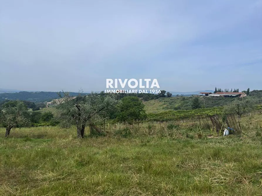 Immagine 6 di Terreno agricolo in vendita  in via collefiore a Collevecchio