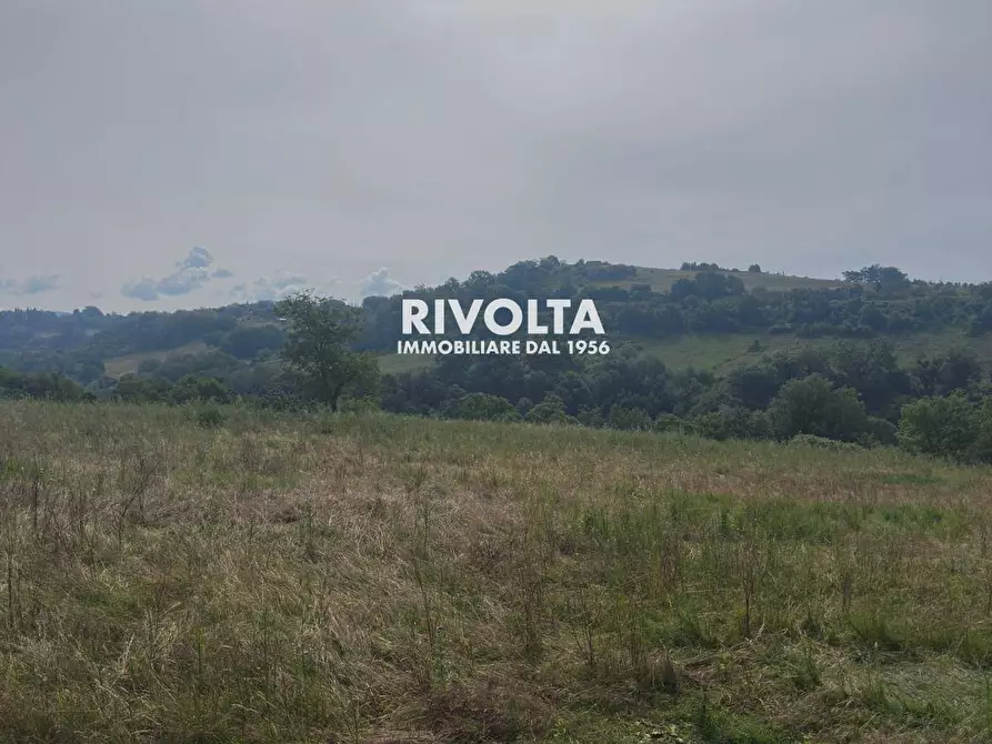 Immagine 7 di Terreno agricolo in vendita  in via collefiore a Collevecchio
