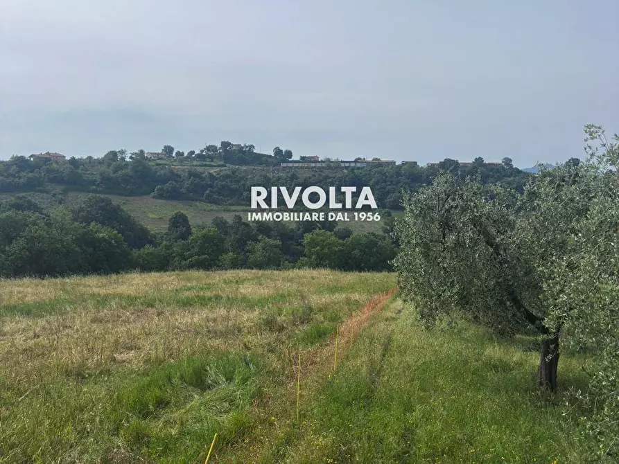 Immagine 8 di Terreno agricolo in vendita  in via collefiore a Collevecchio