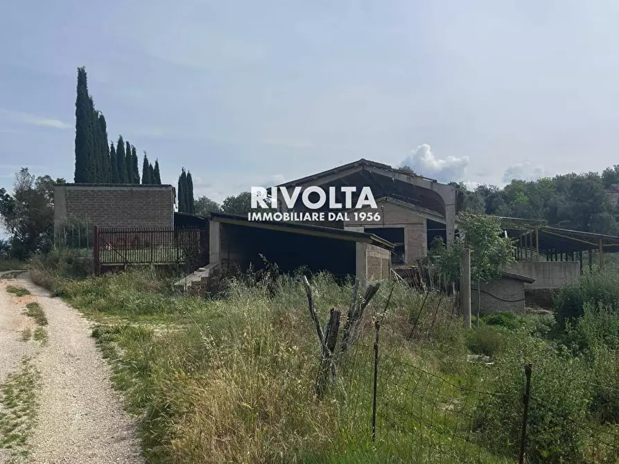 Immagine 9 di Terreno agricolo in vendita  in via collefiore a Collevecchio