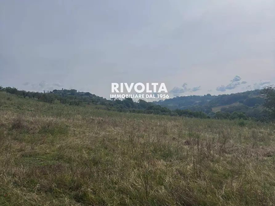 Immagine 10 di Terreno agricolo in vendita  in via collefiore a Collevecchio