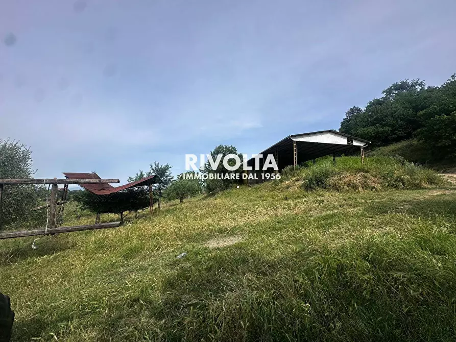 Immagine 11 di Terreno agricolo in vendita  in via collefiore a Collevecchio