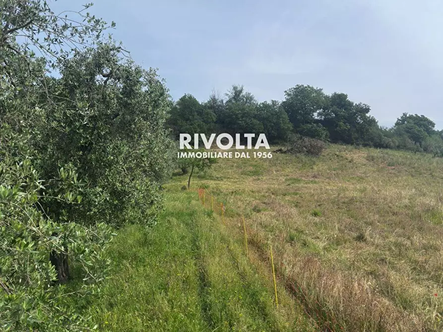 Immagine 12 di Terreno agricolo in vendita  in via collefiore a Collevecchio