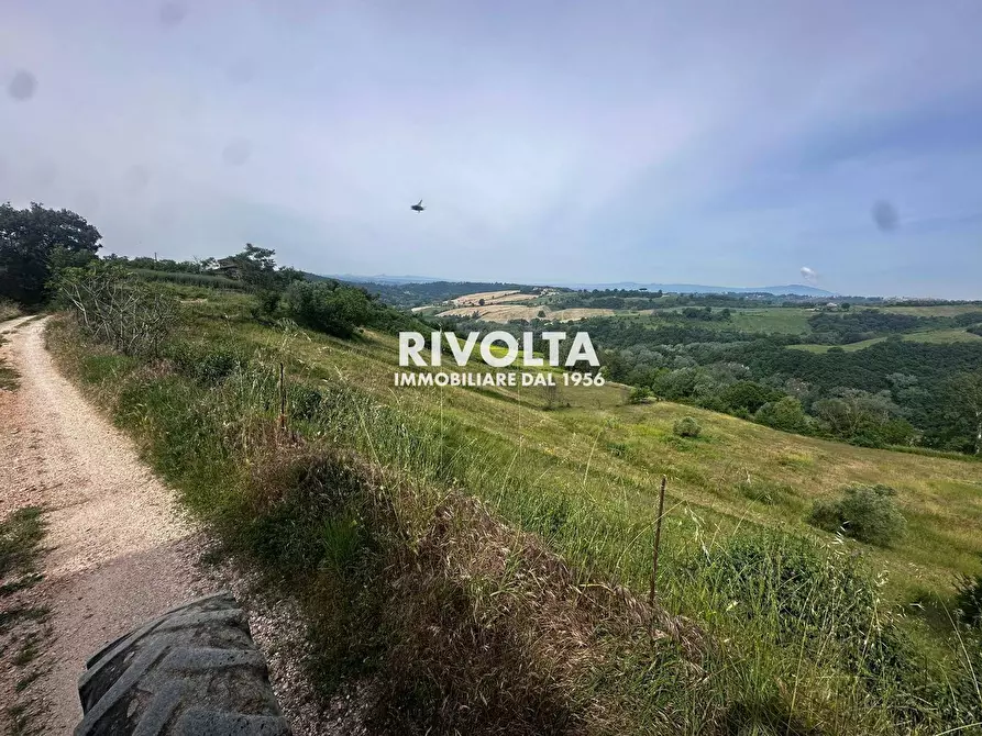Immagine 13 di Terreno agricolo in vendita  in via collefiore a Collevecchio
