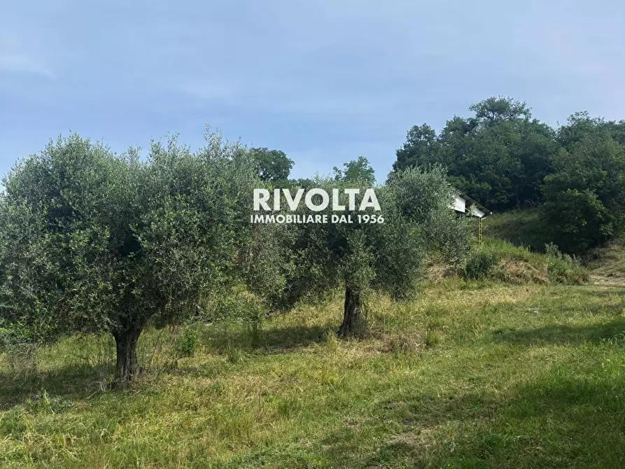 Immagine 14 di Terreno agricolo in vendita  in via collefiore a Collevecchio