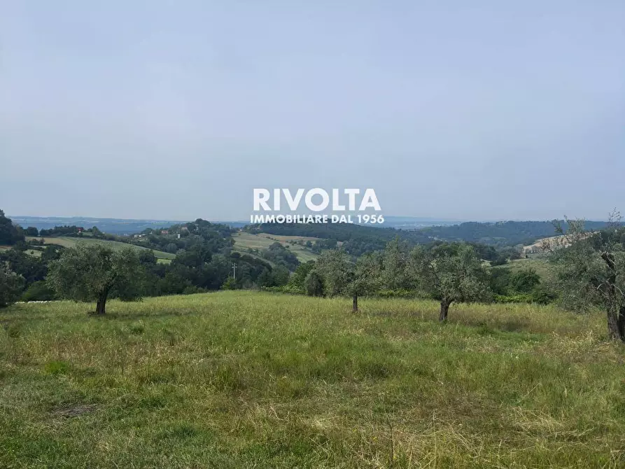 Immagine 15 di Terreno agricolo in vendita  in via collefiore a Collevecchio