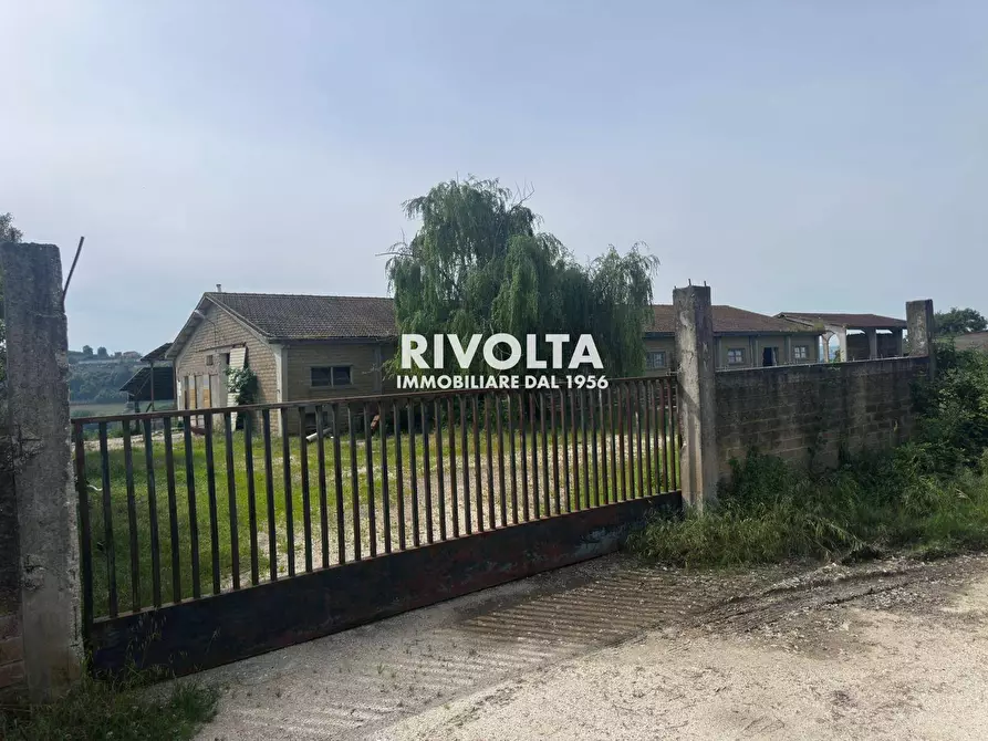 Immagine 16 di Terreno agricolo in vendita  in via collefiore a Collevecchio