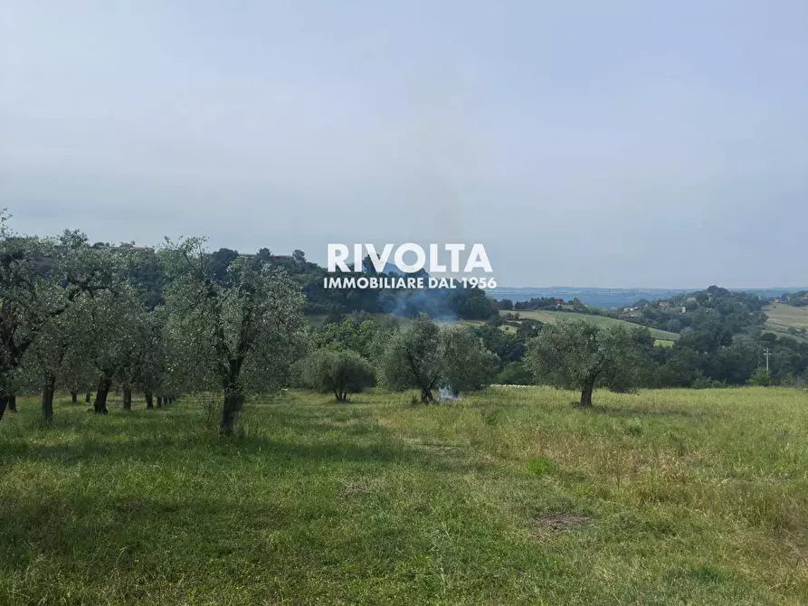 Immagine 17 di Terreno agricolo in vendita  in via collefiore a Collevecchio