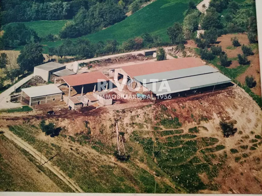 Immagine 18 di Terreno agricolo in vendita  in via collefiore a Collevecchio