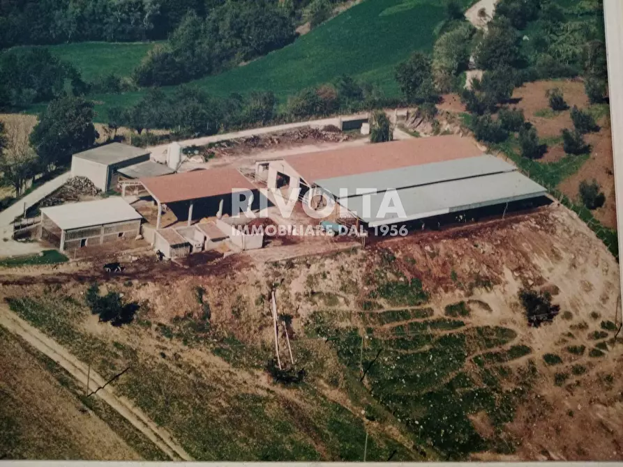 Immagine 19 di Terreno agricolo in vendita  in via collefiore a Collevecchio
