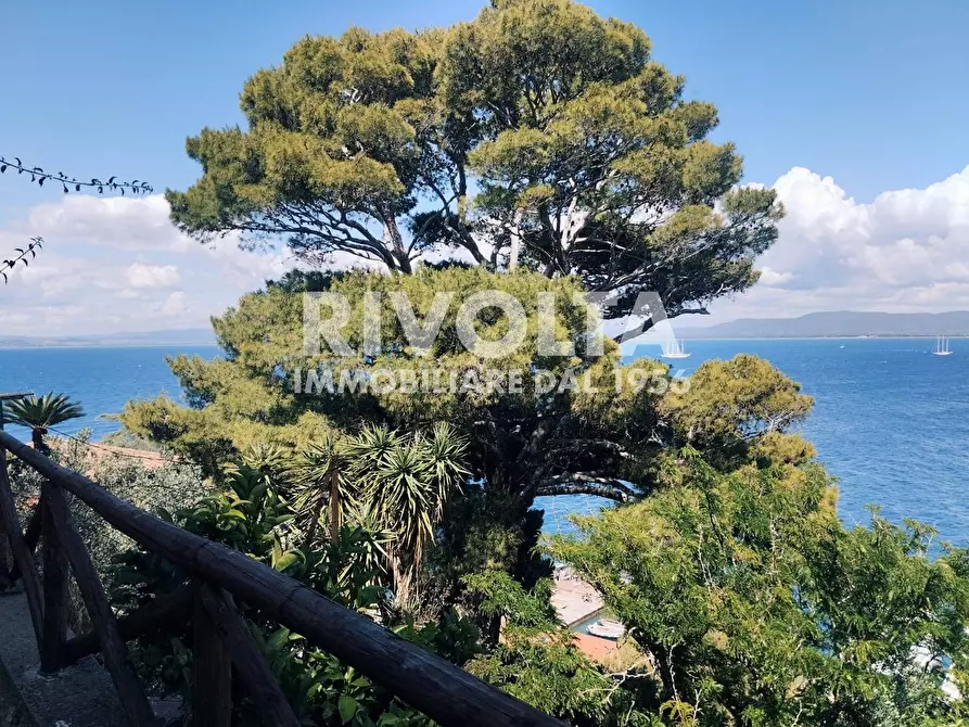 Immagine 1 di Appartamento in affitto  in Via Aia del dottore a Monte Argentario