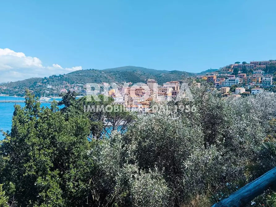 Immagine 2 di Appartamento in affitto  in Via Aia del dottore a Monte Argentario