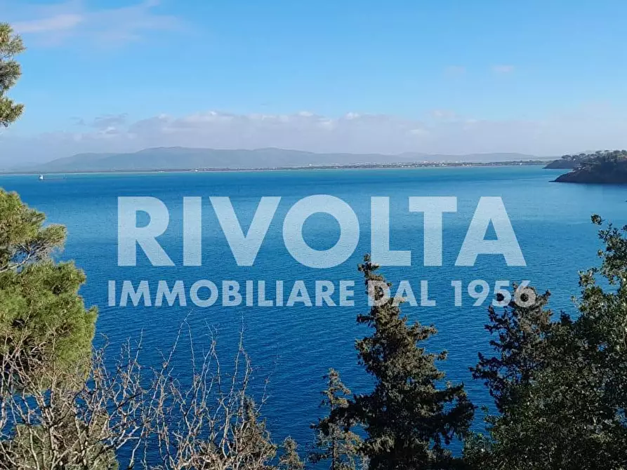 Immagine 3 di Appartamento in affitto  in Via Aia del dottore a Monte Argentario