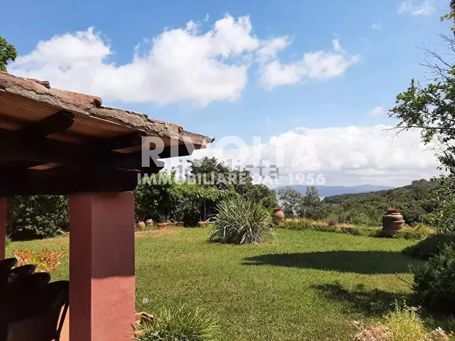 Immagine 2 di Villa in affitto  in SANTA LIBERATA GIANNELLA a Monte Argentario