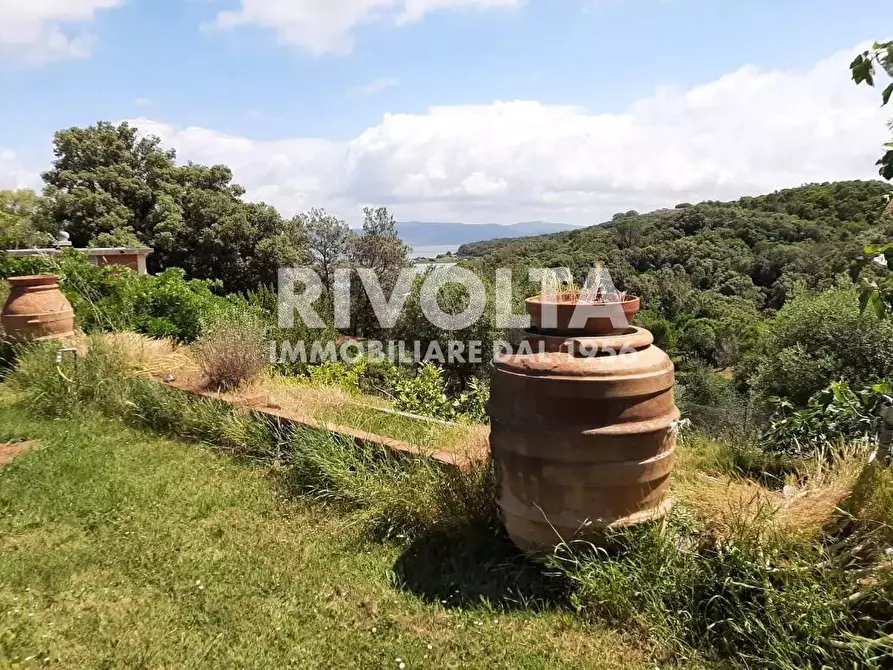 Immagine 4 di Villa in affitto  in SANTA LIBERATA GIANNELLA a Monte Argentario