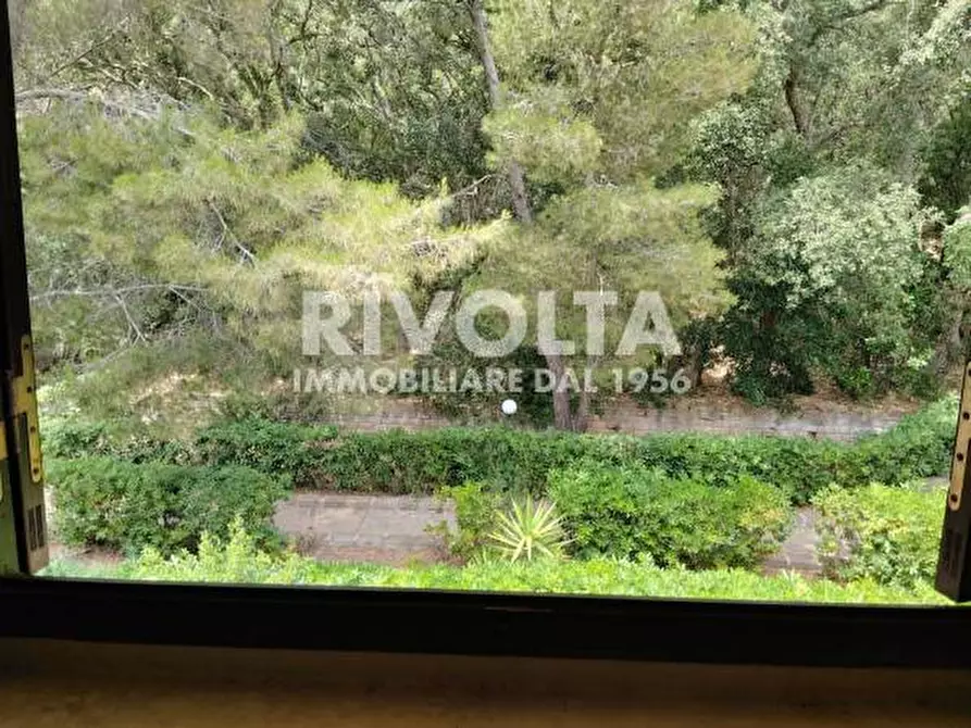 Immagine 26 di Appartamento in affitto  in via delle buche a Monte Argentario