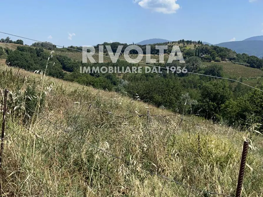 Immagine 3 di Terreno agricolo in affitto  a Collevecchio