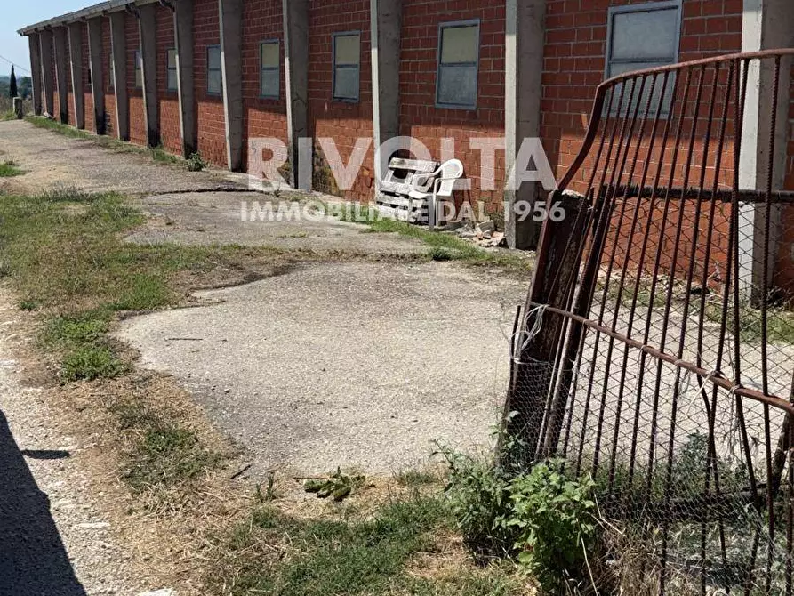 Immagine 4 di Terreno agricolo in affitto  a Collevecchio