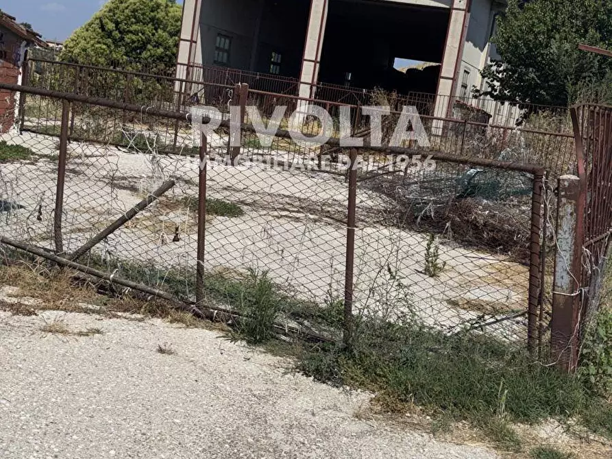 Immagine 5 di Terreno agricolo in affitto  a Collevecchio